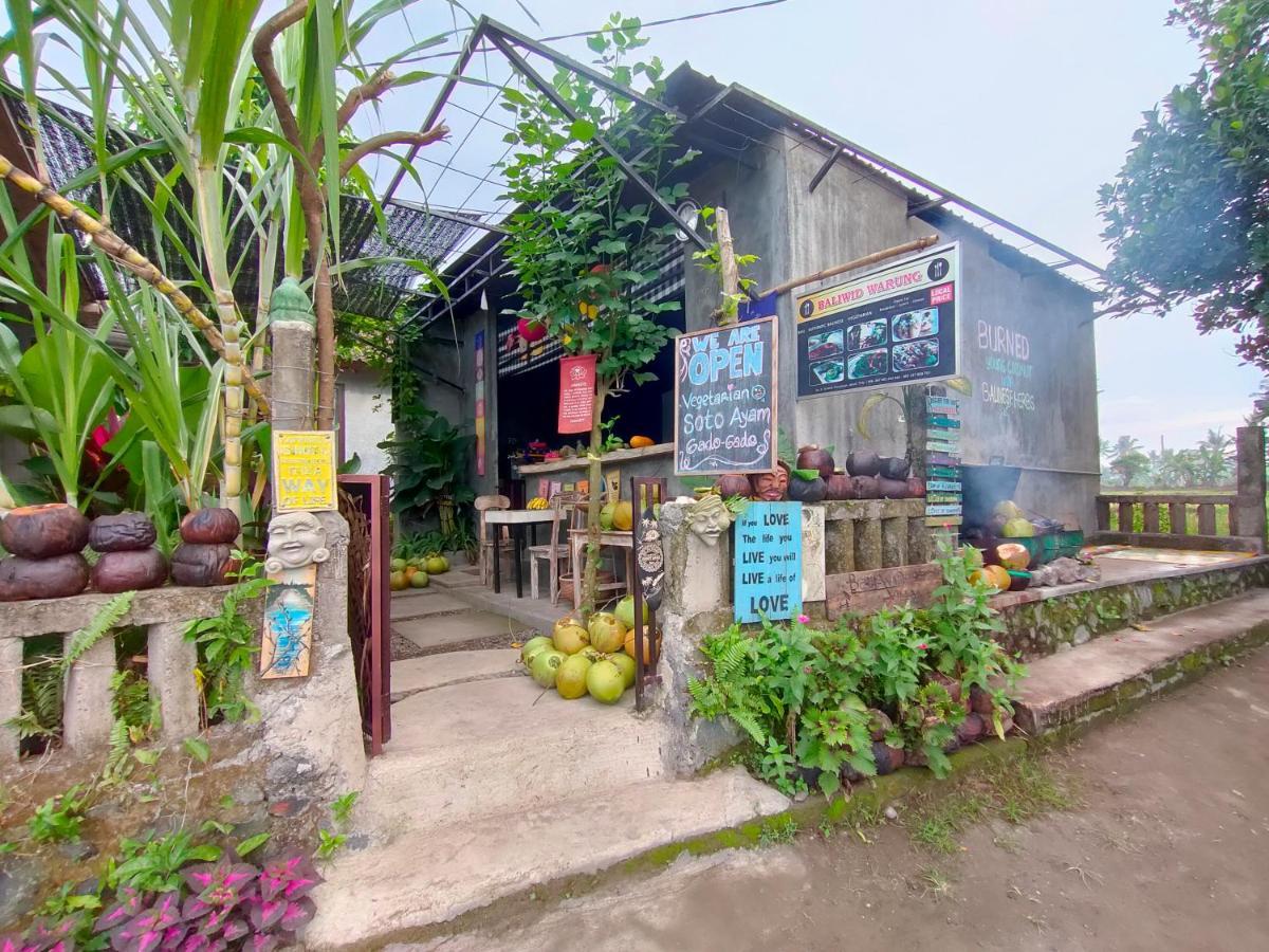 D'Nanda Villa ウブド エクステリア 写真