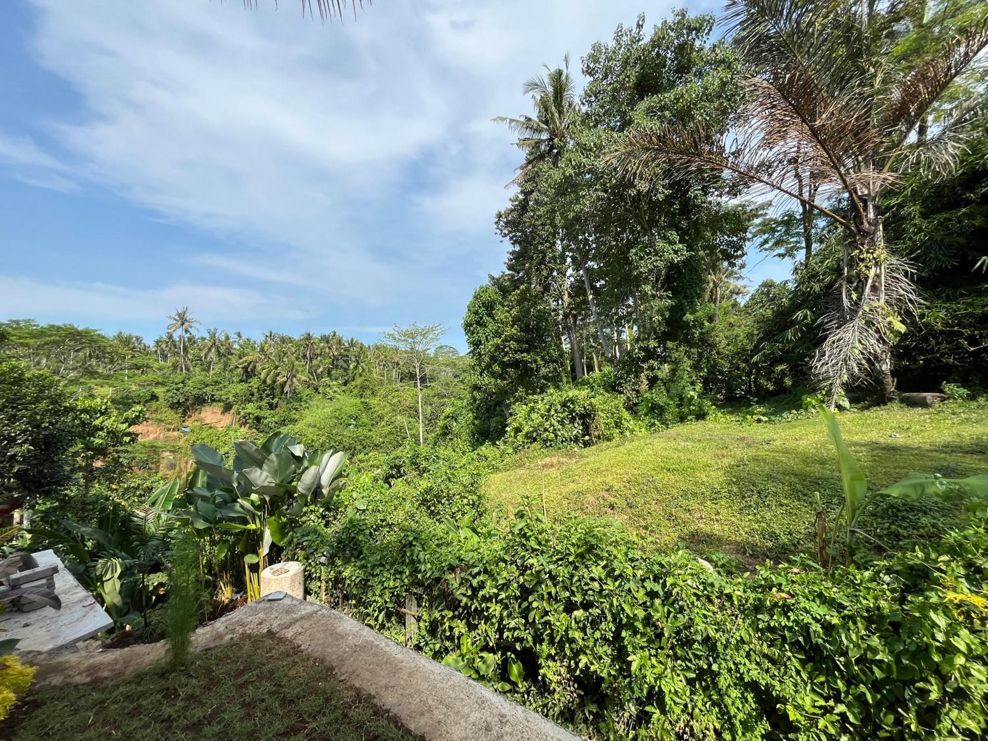 D'Nanda Villa ウブド エクステリア 写真