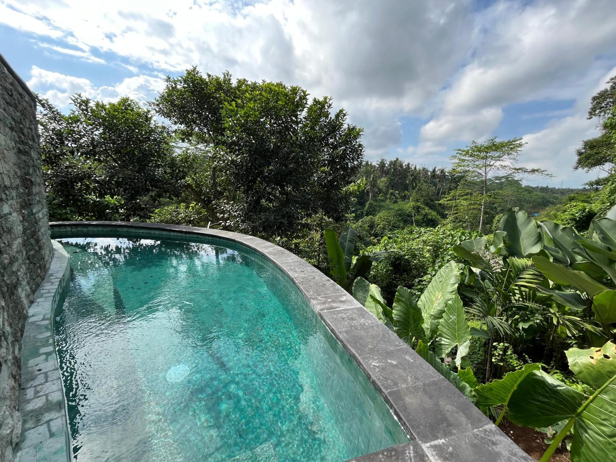 D'Nanda Villa ウブド エクステリア 写真