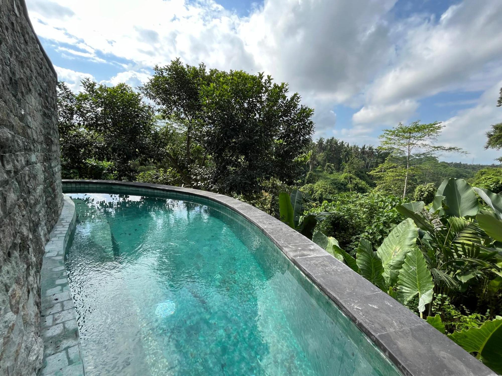 D'Nanda Villa ウブド エクステリア 写真